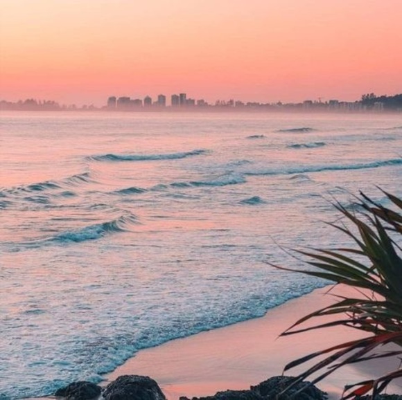 Meet your Posher, Dara - Picture 1 of 1